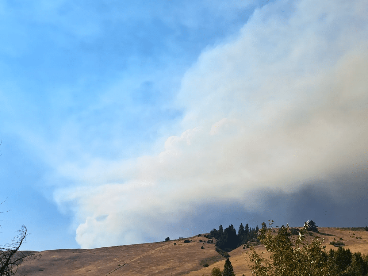 La nature hurle sa détresse, bientôt bleu et jaune se nommeront&nbsp;rouge.